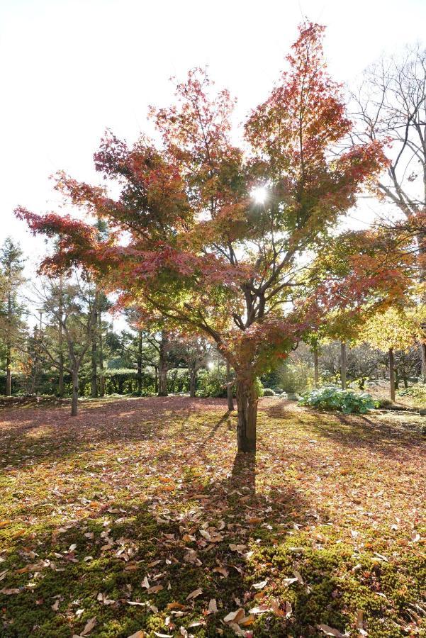 Japaning Senkyu Villa Kyoto Exteriör bild