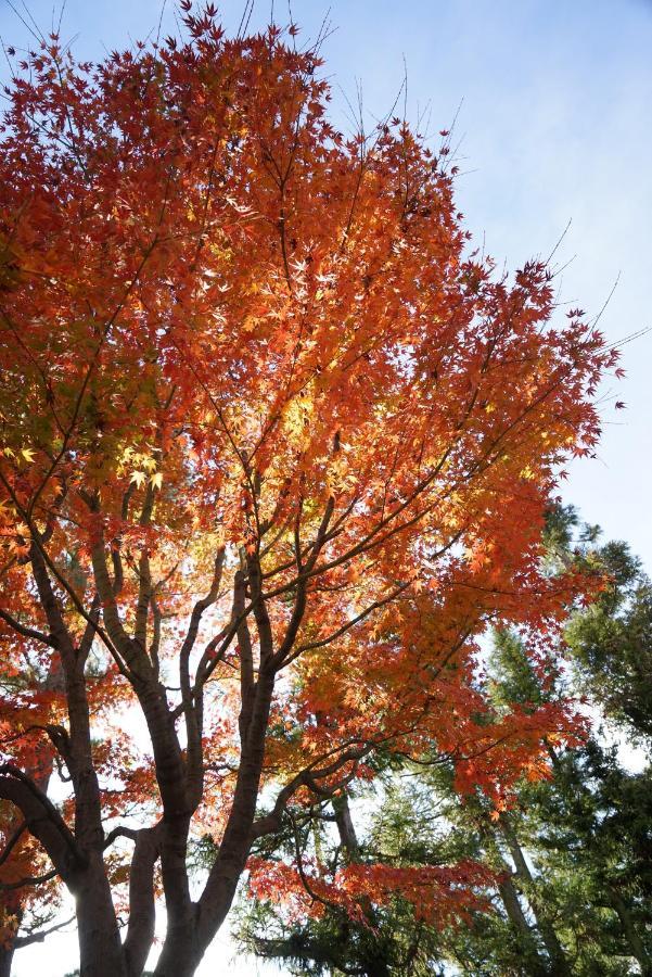 Japaning Senkyu Villa Kyoto Exteriör bild